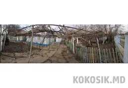 Продам два дома на одном участке (28 соток) в с. Катериновка