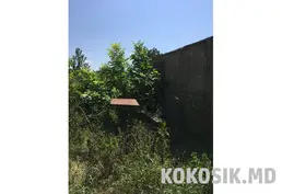 Дачные участки на берегу Днестра в Слободзее - 3