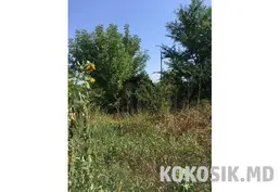 Дачные участки на берегу Днестра в Слободзее - 5