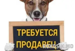Требуется продавец-консультант в зоомагазин