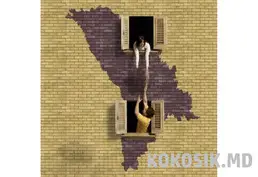 Офисные переезды под ключ в Кишинёве