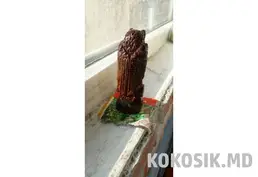 Деревянная сова