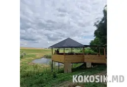 Teren agricol cu infrastructură în satul Grigorievca, raionul Căușeni