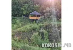Teren agricol cu infrastructură în satul Grigorievca, raionul Căușeni