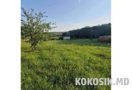 Teren agricol cu infrastructură în satul Grigorievca, raionul Căușeni