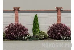 Ландшафтный дизайн и благоустройство сада