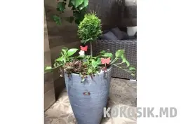 Ландшафтный дизайн и благоустройство сада