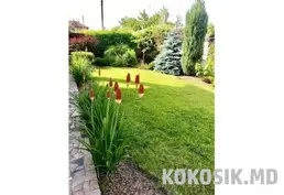 Ландшафтный дизайн и благоустройство сада