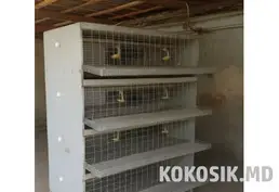 Клетка для перепелов (4 секции)