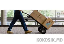 Hamali și Transport