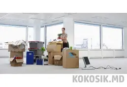 Hamali și Transport