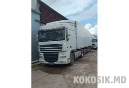 DAF XF 105 + рефрижератор SCHWARZMUELLER