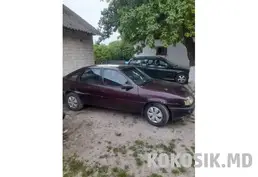 Розборка Opel (Опель)