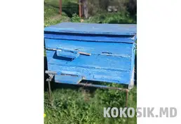 Вулики-лежаки (10–20 рамок) | Димова гармата для бджіл