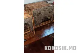 Рамки для бджіл (З медом/Вощиною)