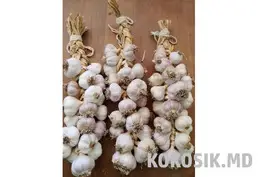 Гарбуз «Зимовий солодкий» (Лікувальний) | Калина та Часник