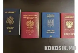Юрист. Гражданство РМ, РФ, ЕС, СНГ | Оформление документов