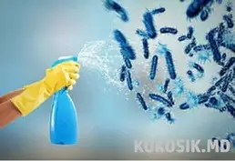Дезінфекція в Києві та області