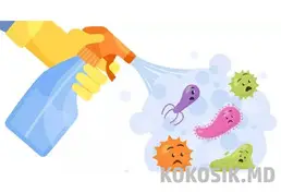 Дезінфекція в Києві та області