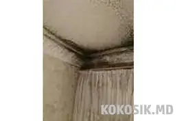 Професійне видалення плісняви та грибка