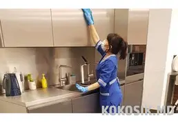 Професійне прибирання квартир у Києві та області