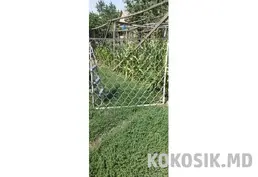 Кованые оконные решетки стандартных размеров