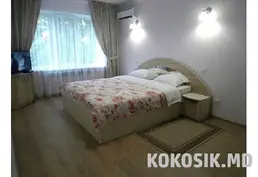 Аренда 1-комнатной квартиры посуточно | Ботаника, Куза-Водэ
