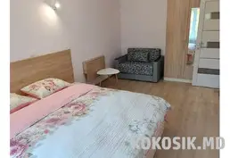 Chirie apartament cu 1 cameră de la proprietar | Botanica