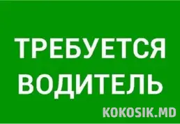 Вакансия водителя категории B в Кишиневе