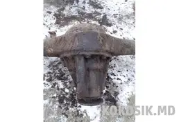 Купить задний мост Москвич в Каушанах