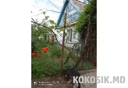 Продается жилой дом в с. Карагаш (40 соток)