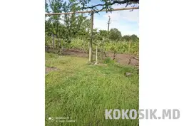 Продается жилой дом в с. Карагаш (40 соток)