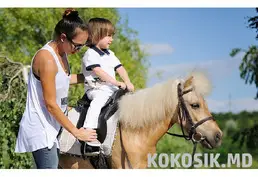 Sesiuni foto cu cai și ponei în Chișinău
