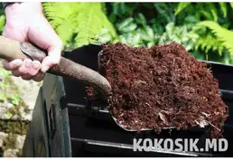 Продажа конского навоза в Будештах