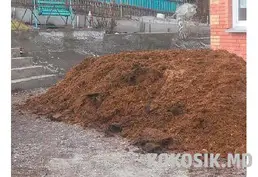 Продажа конского навоза в Будештах