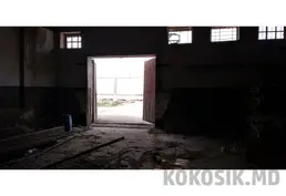 Продажа или Аренда: Коммерческое помещение 165 кв. м — Тирасполь
