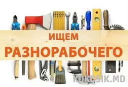Вакансия: Разнорабочий в Тирасполе