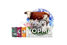 Корма для свиней, телят и КРС, комбикорм