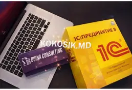 Servicii contabile și consultanță fiscală
