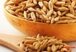 Купить сельхозпродукцию
