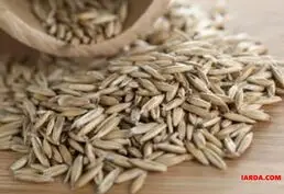 Купить сельхозпродукцию