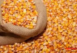 Купить сельхозпродукцию