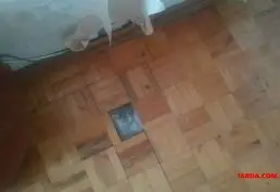 Циклевка паркета и деревянных полов в Кишинёве