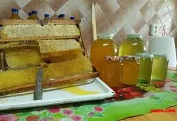 Продажа Меда и Продуктов Пчеловодства