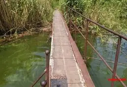 Купить дачу в Днестровске
