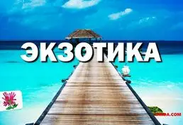 Отдых на море. Бронирование онлайн