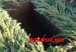 Городская ритуальная служба г. Бендеры