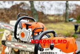 Бензопилы STIHL — только оригинал