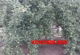 Продам 3-этажный частный дом с 2 утеплёнными гаражами
