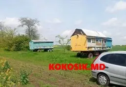 Мёд купить